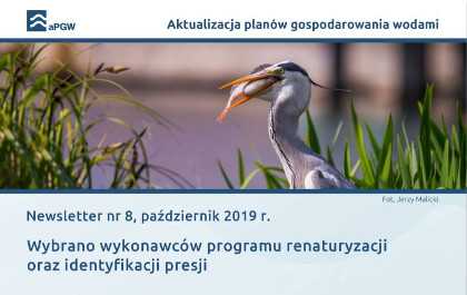 Newsletter nr 8, październik 2019 r. (PDF, 4,4 MB)